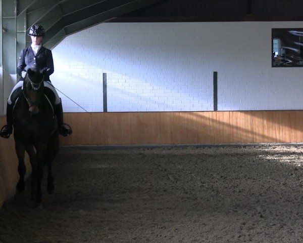 Reitturnier Frechen-Bachem 2024