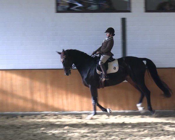 Reitturnier Frechen-Bachem 2024