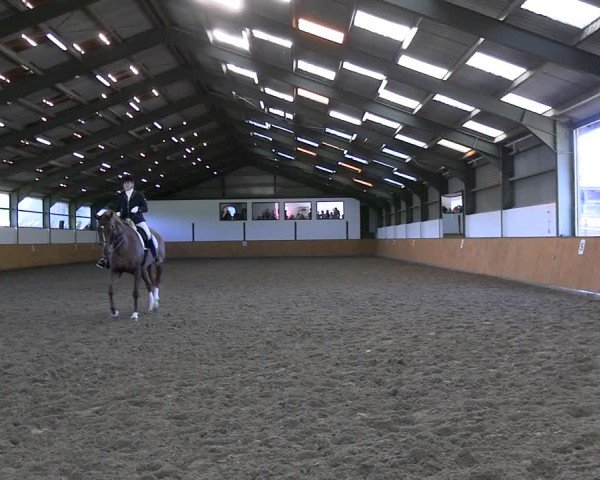 Reitturnier Frechen-Bachem 2024