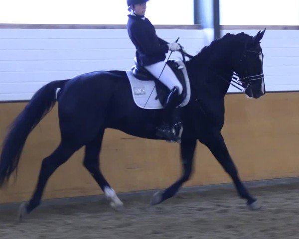 Reitturnier Frechen-Bachem 2024