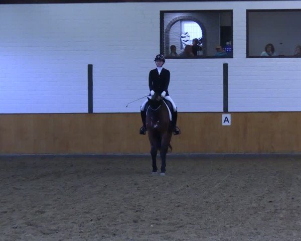 Reitturnier Frechen-Bachem 2024