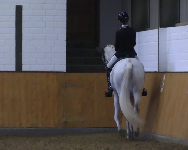 Reitturnier Frechen-Bachem 2024