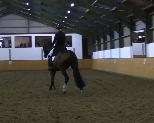 Reitturnier Frechen-Bachem 2024