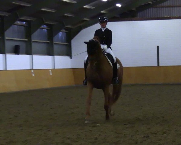 Reitturnier Frechen-Bachem 2024