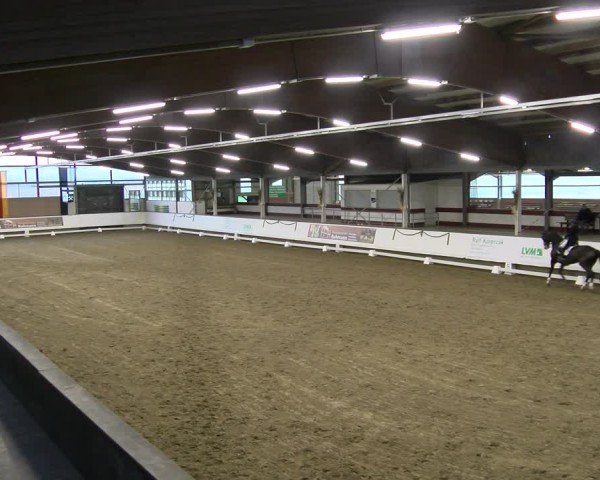 Reitturnier Marl, Hof Rohmann 2024