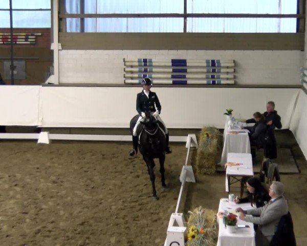 Reitturnier Marl, Hof Rohmann 2024