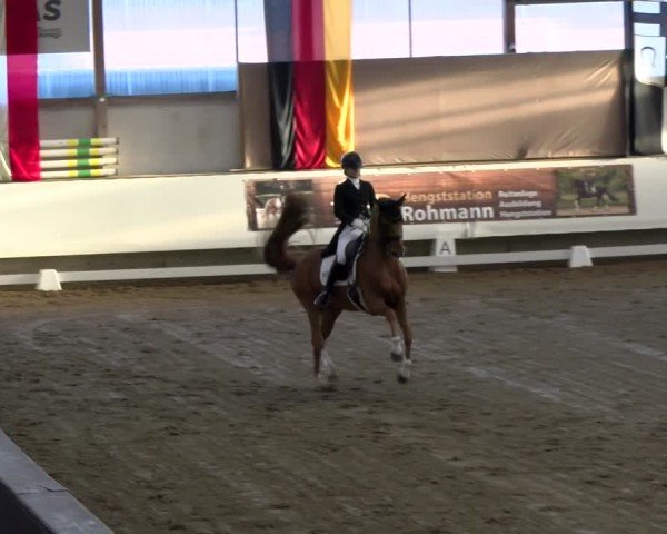 Reitturnier Marl, Hof Rohmann 2024