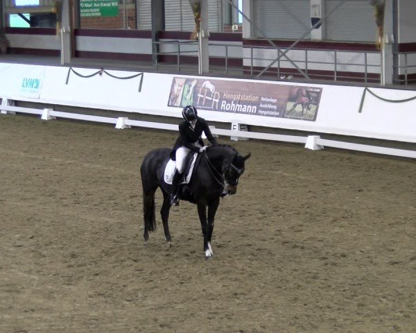 Reitturnier Marl, Hof Rohmann 2024