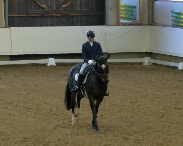 Reitturnier Marl, Hof Rohmann 2024