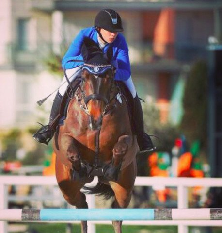 jumper Summer Sunset CH (Hanoverian, 2007, from Stakkato) jumper Summer Sunset CH (Hanoverian, 2007, from Stakkato)