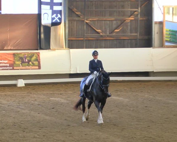 Reitturnier Marl, Hof Rohmann 2024