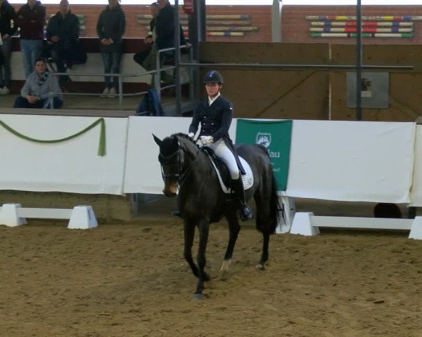 Reitturnier Marl, Hof Rohmann 2024