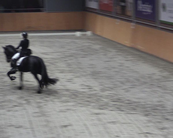 Reitturnier Güstrow/Cavallo Arena  2024