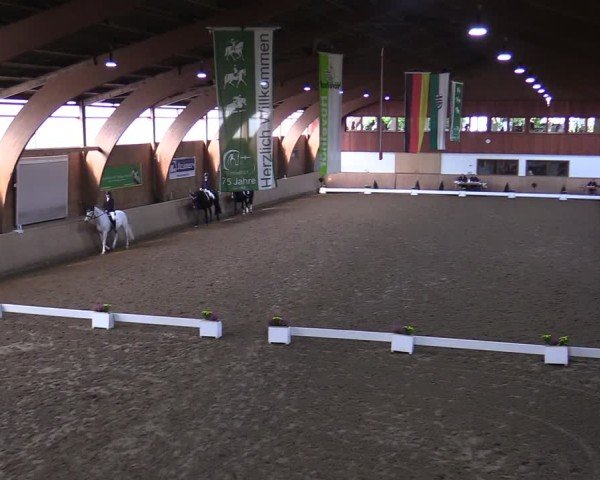 Reitturnier Hövelhof 2024