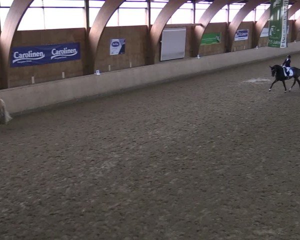Reitturnier Hövelhof 2024