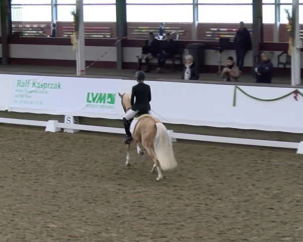 Reitturnier Marl, Hof Rohmann 2024