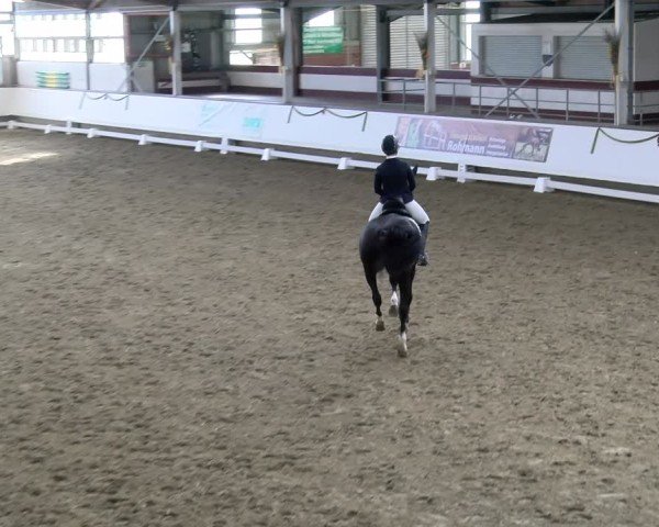 Reitturnier Marl, Hof Rohmann 2024