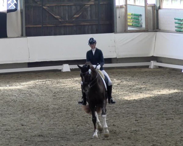 Reitturnier Marl, Hof Rohmann 2024