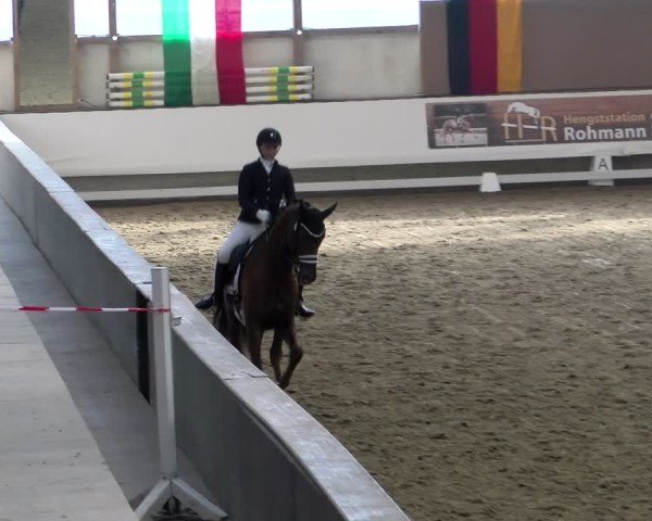 Reitturnier Marl, Hof Rohmann 2024