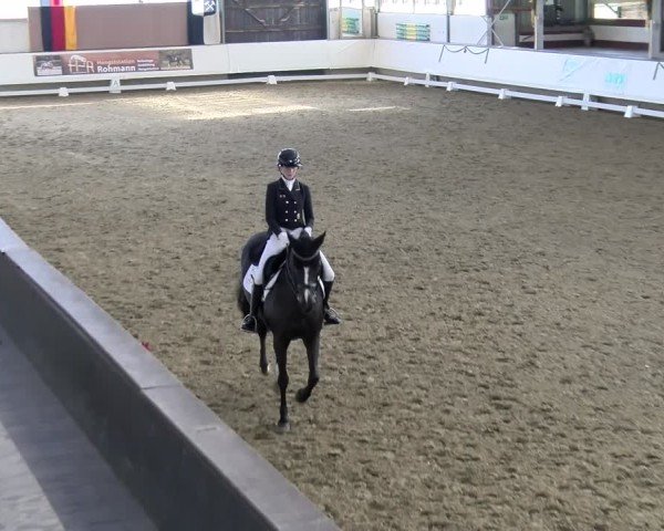 Reitturnier Marl, Hof Rohmann 2024