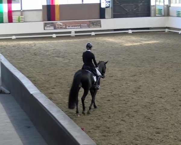 Reitturnier Marl, Hof Rohmann 2024