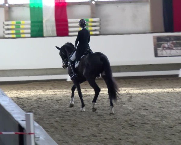 Reitturnier Marl, Hof Rohmann 2024