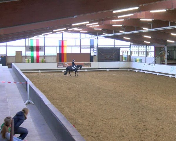 Reitturnier Marl, Hof Rohmann 2024