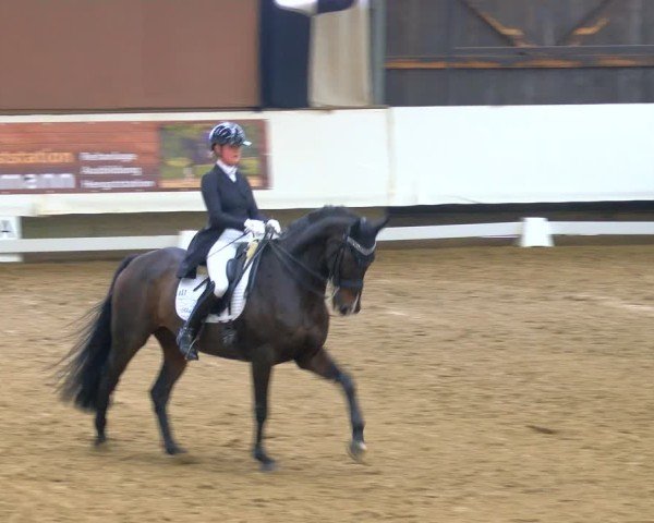 Reitturnier Marl, Hof Rohmann 2024