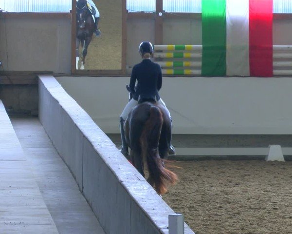Reitturnier Marl, Hof Rohmann 2024