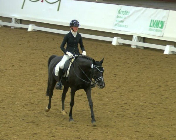 Reitturnier Marl, Hof Rohmann 2024