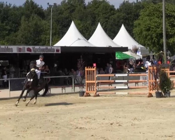 Vinnummer Reitertage 2013