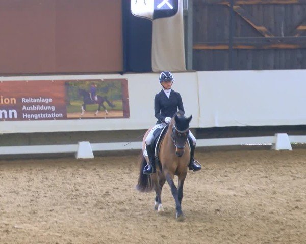 Reitturnier Marl, Hof Rohmann 2024