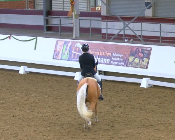 Reitturnier Marl, Hof Rohmann 2024