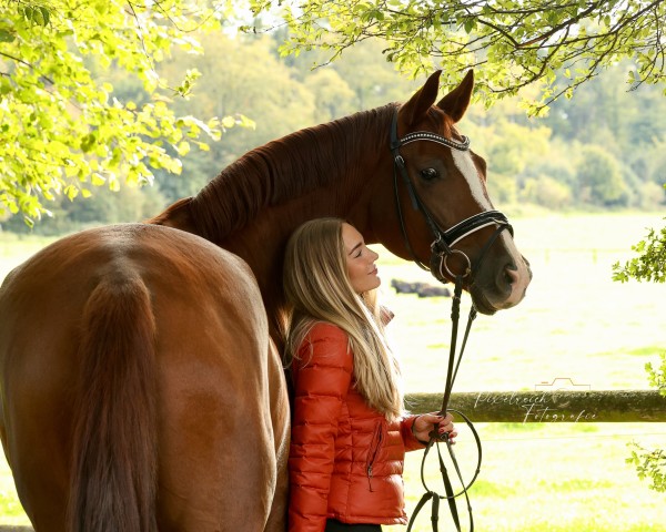 horse Good Girl Belanta (German Sport Horse, 2018, from Belami 247 FIN)
