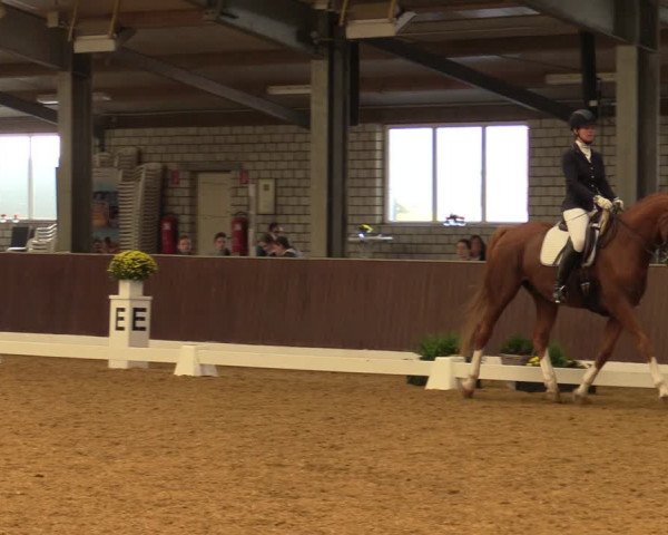 Reitturnier Kirchhellen-RSV Zur Linde 2021