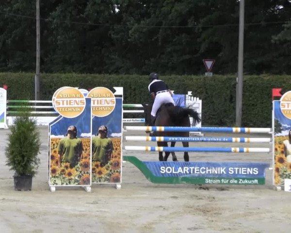 Vinnummer Reitertage 2013