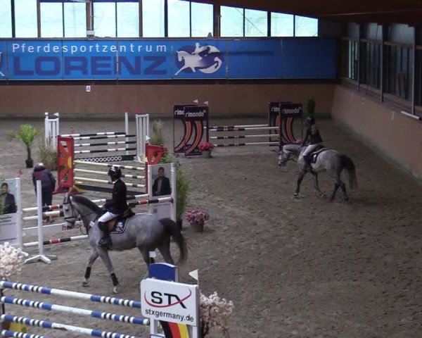 Reitturnier Osterholz-Scharmbeck 2024