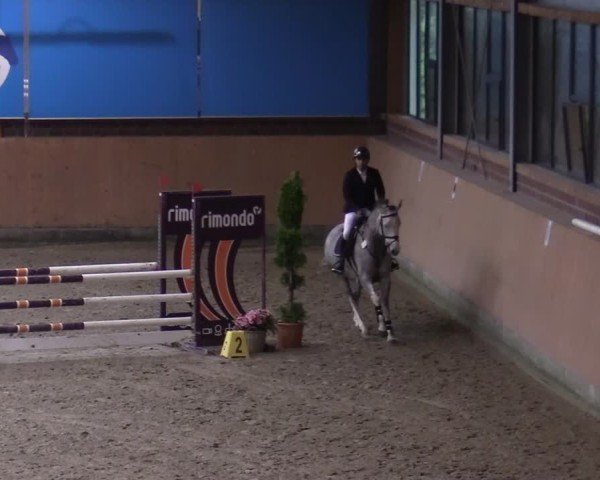 Reitturnier Osterholz-Scharmbeck 2024