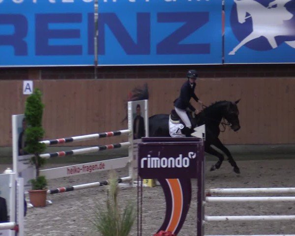 Reitturnier Osterholz-Scharmbeck 2024