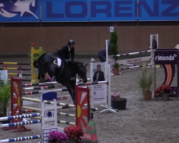 Reitturnier Osterholz-Scharmbeck 2024