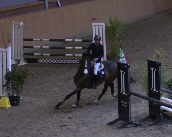 Reitturnier Osterholz-Scharmbeck 2024