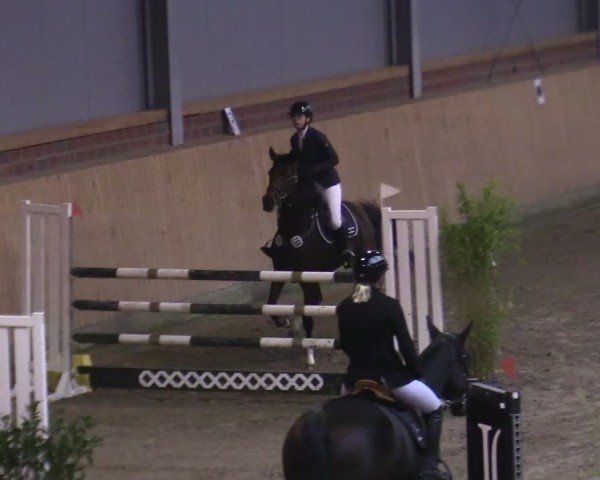 Reitturnier Osterholz-Scharmbeck 2024