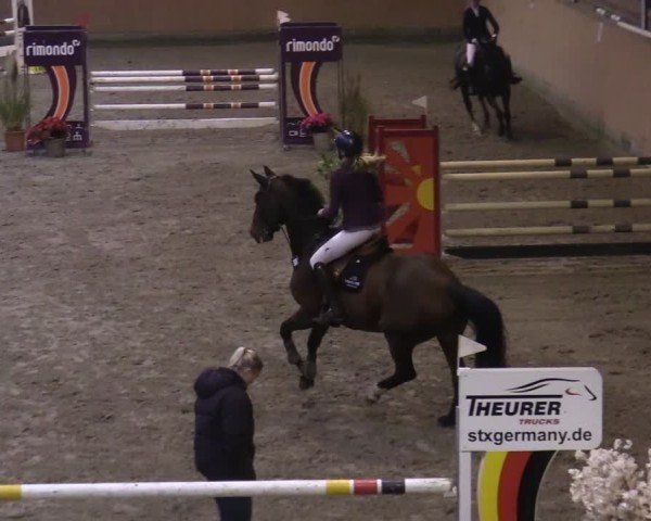 Reitturnier Osterholz-Scharmbeck 2024