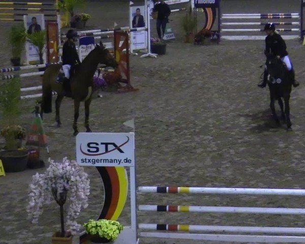 Reitturnier Osterholz-Scharmbeck 2024