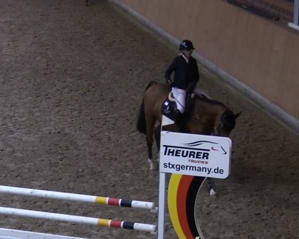 Reitturnier Osterholz-Scharmbeck 2024