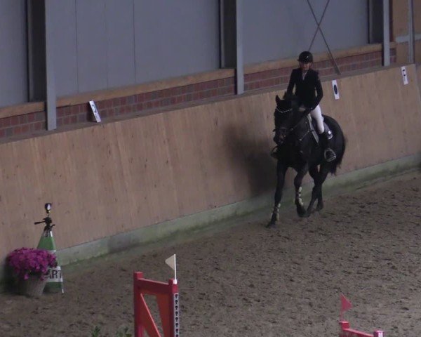 Reitturnier Osterholz-Scharmbeck 2024
