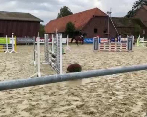 Reitturnier Welver 2024