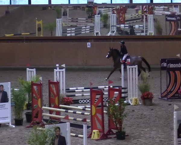 Reitturnier Osterholz-Scharmbeck 2024