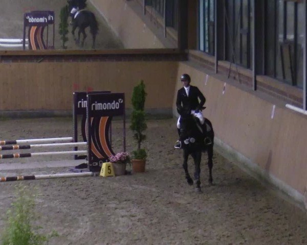 Reitturnier Osterholz-Scharmbeck 2024