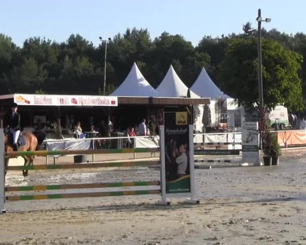 Vinnummer Reitertage 2013
